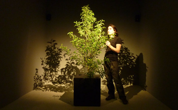 Scénocosme : Grégory Lasserre & Anaïs met den Ancxt, Phonofolium