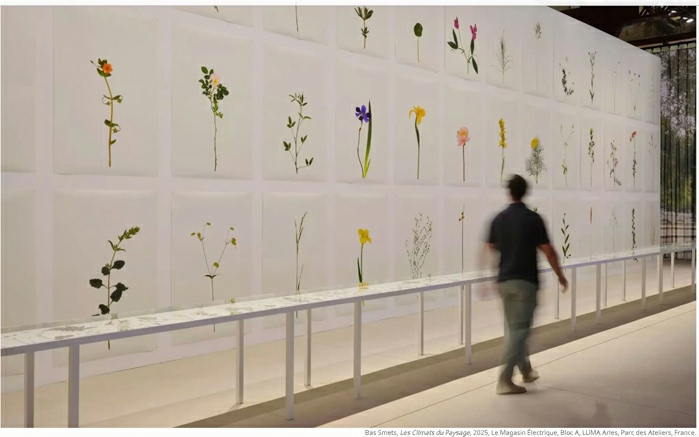 Bas Smets, Les Climats du Paysage, 2025, Le Magasin Électrique, Bloc A, LUMA Arles, Parc des Ateliers 