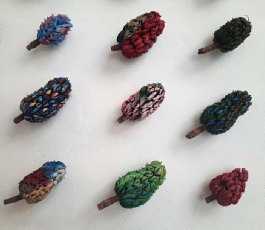 Bettie Nin, Observation des fruits du magnolia Coloribus Picta, un étrange papier peint à découvrir !