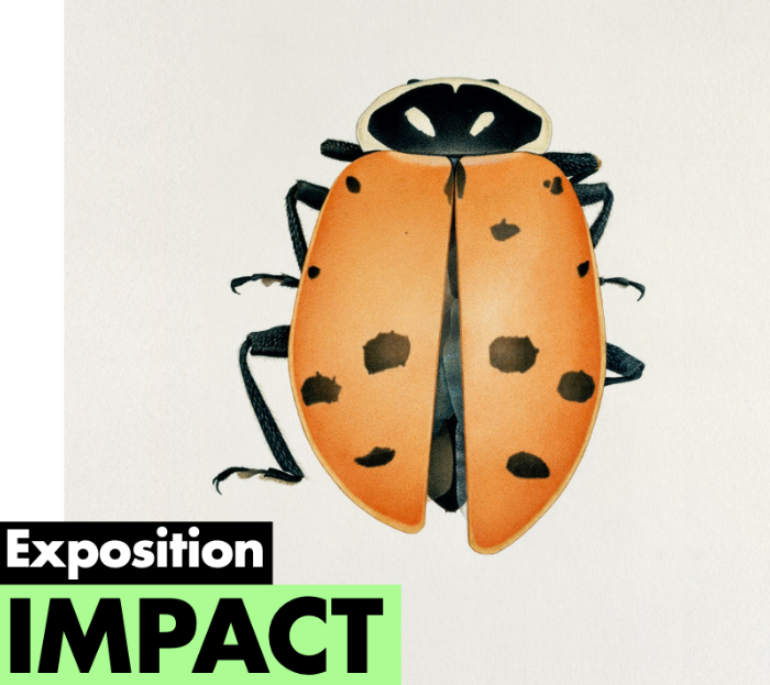 Exposition eac - Impact