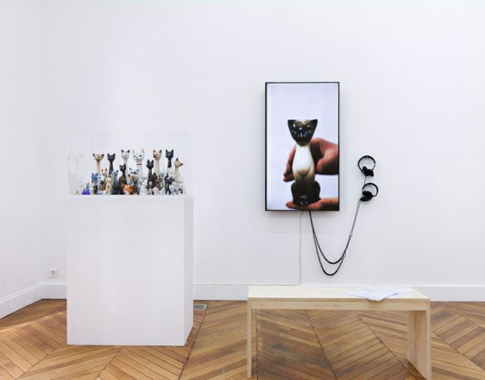 Andy Holden, Cat-tharsis, 2022