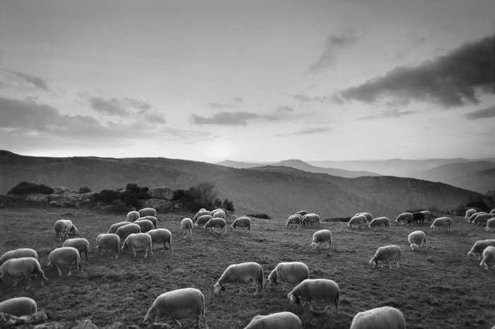 Raymond Depardon, Le Villaret, Le Pont de Montvert, Lozère, 1993. Tirage argentique sur papier baryté, 50 x 60 cm. Collection Fondation Catier pour l’art contemporain ® Raymond Depardon