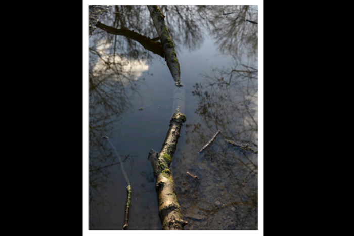 © Céline Clanet (extrait de la commande Le Peuple de l’eau, 2021-2022.