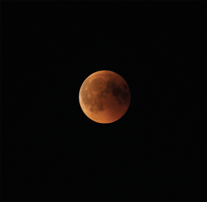 Toutes les Nuits, Colysée de Lambertsart